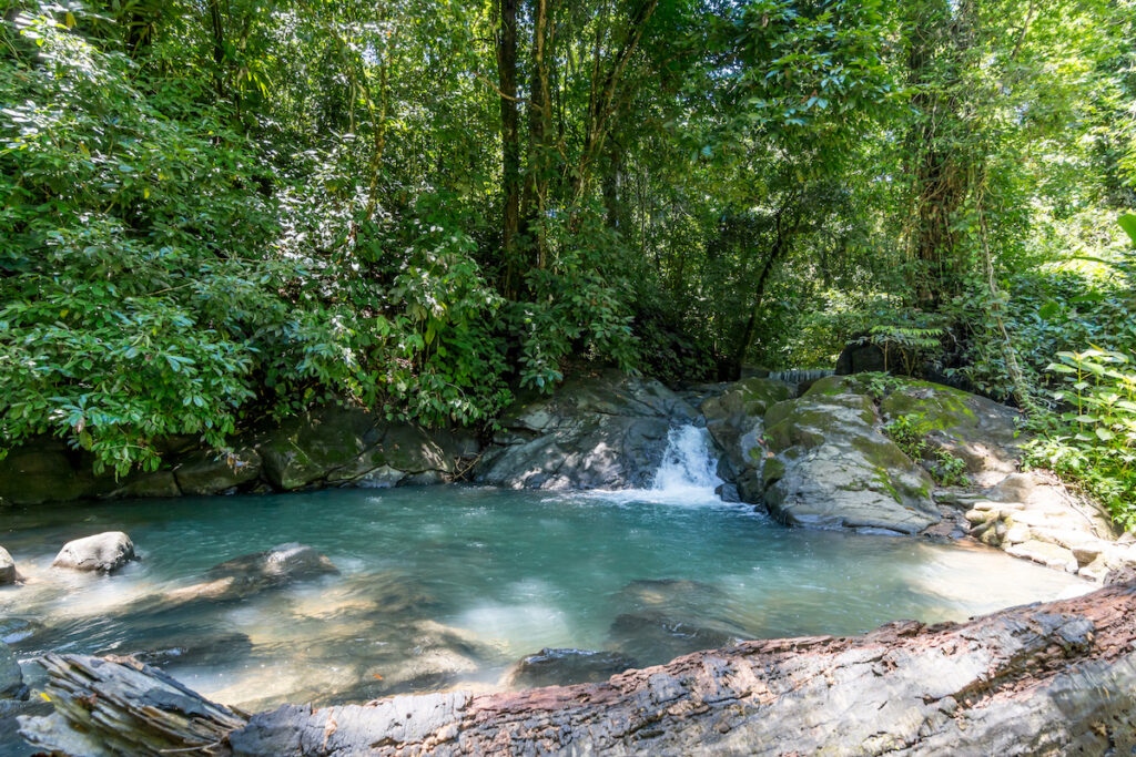 La Cusinga Ecolodge
