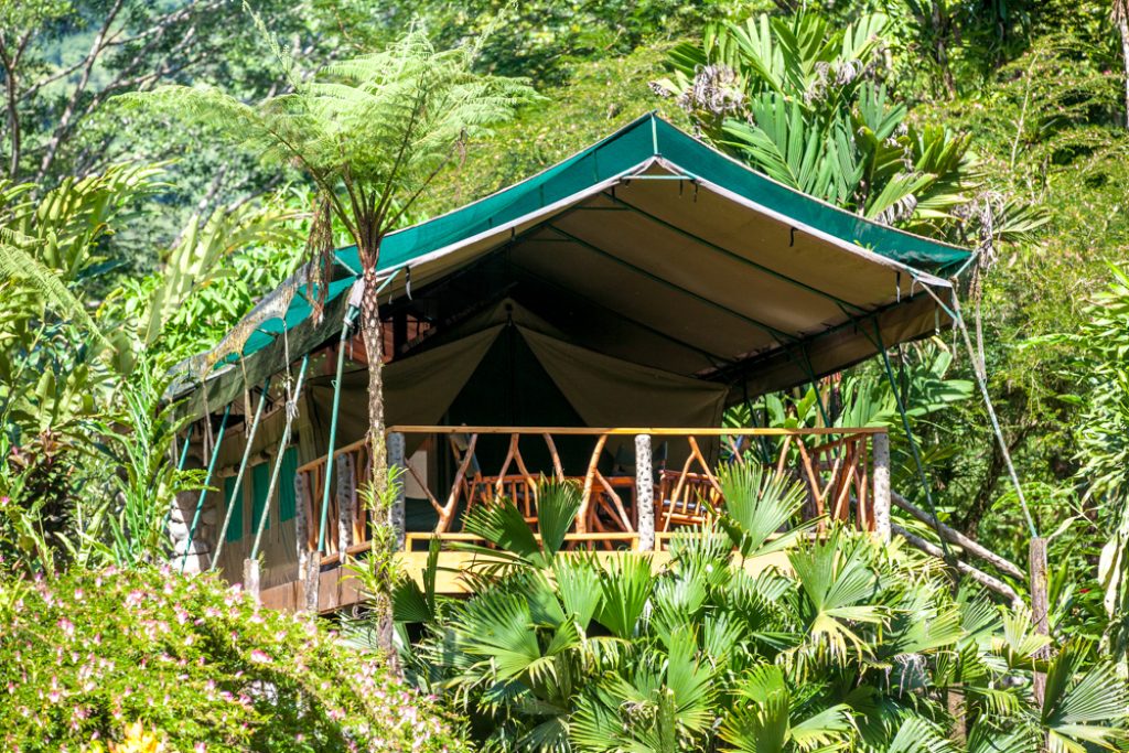 Rafiki Safari Lodge