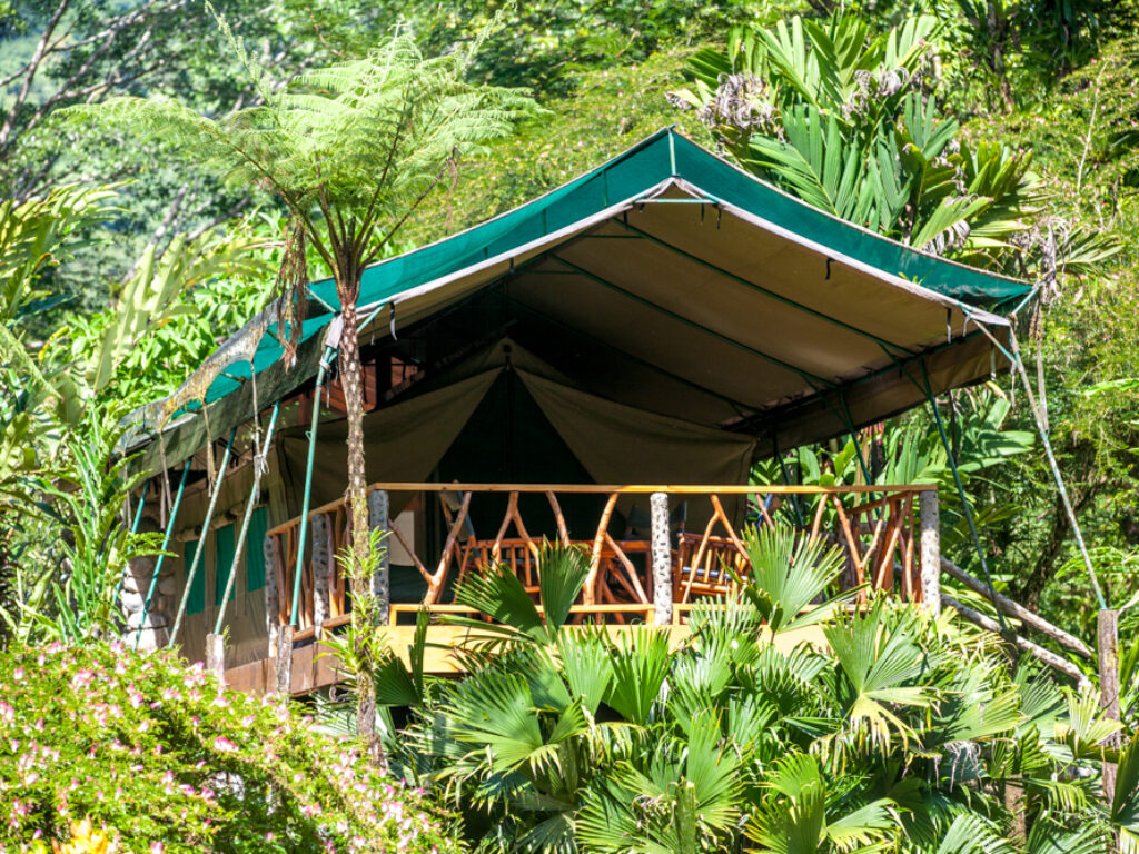 Rafiki Safari Lodge