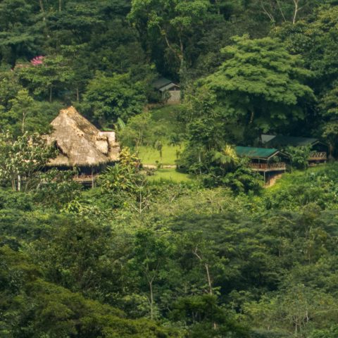 Rafiki Safari Lodge