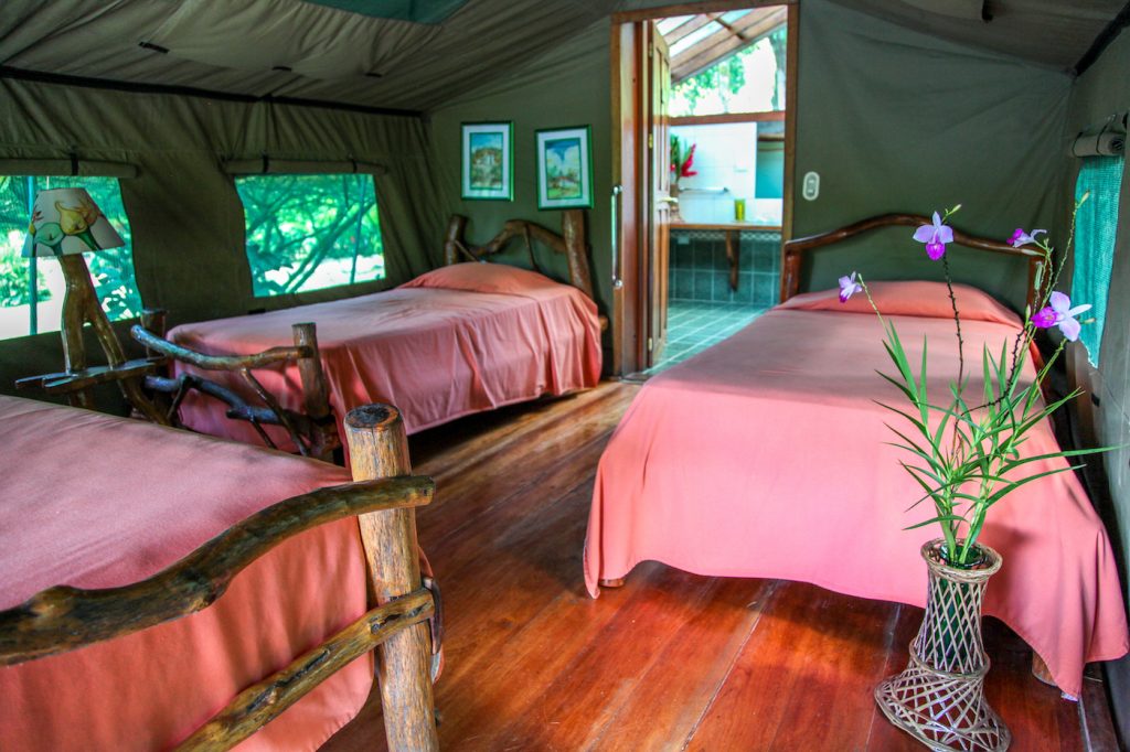 Rafiki Safari Lodge