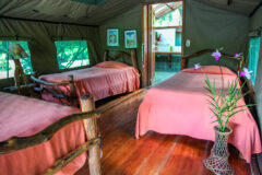 Rafiki Safari Lodge