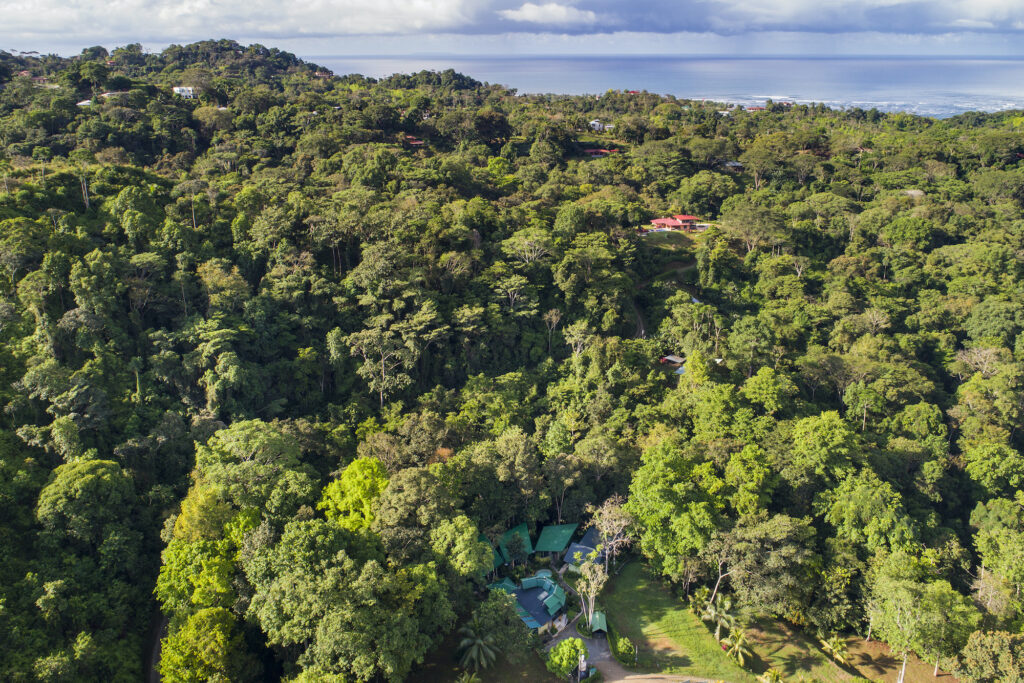 Yaba Chigui Lodge