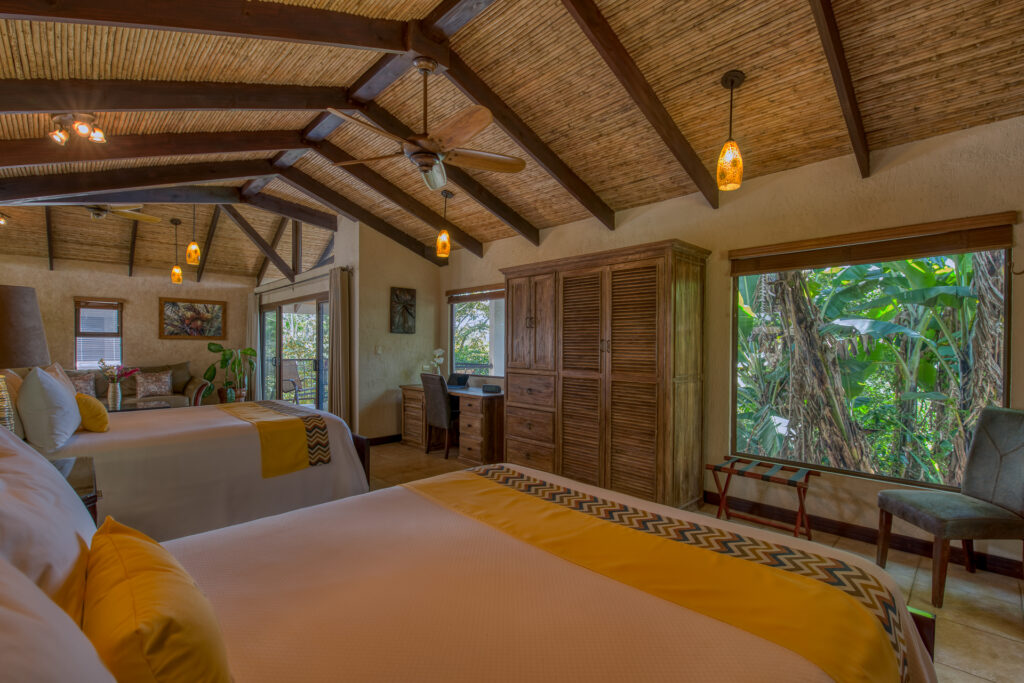 Buena Vista Chic Hotel