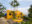 Xandari Resort and Spa