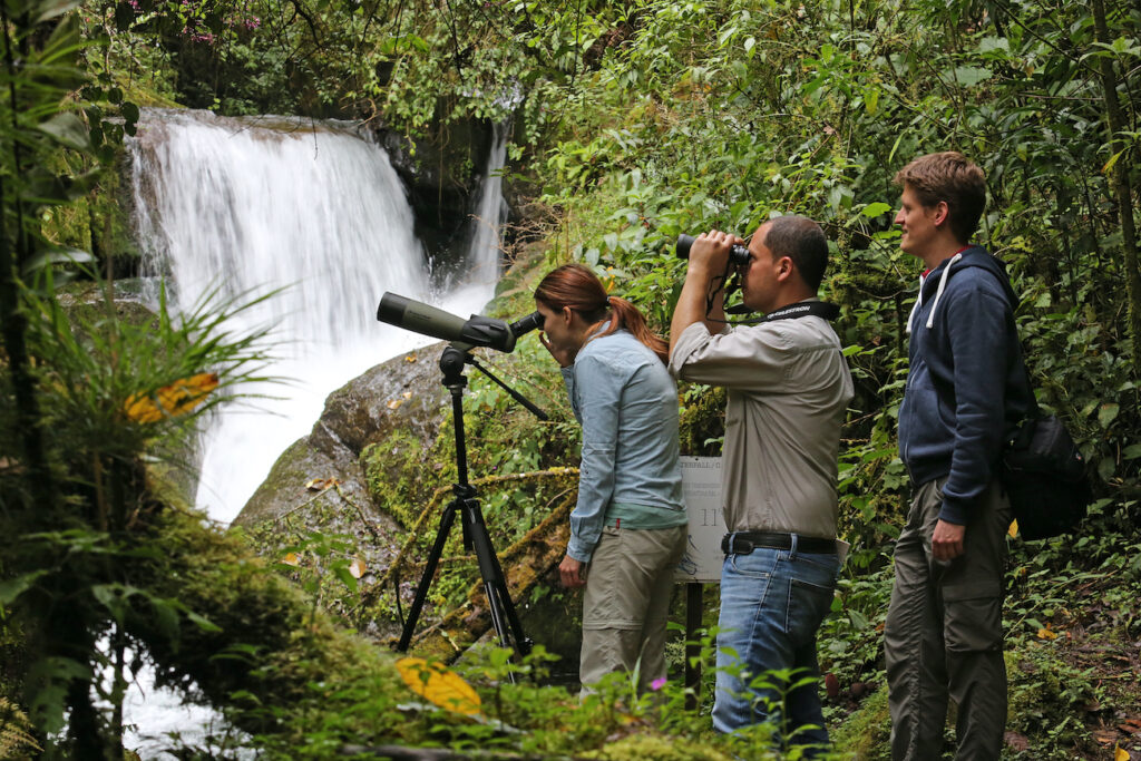 Trogon Lodge