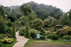 Trogon Lodge