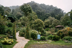 Trogon Lodge