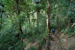 Trogon Lodge
