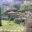 Trogon Lodge