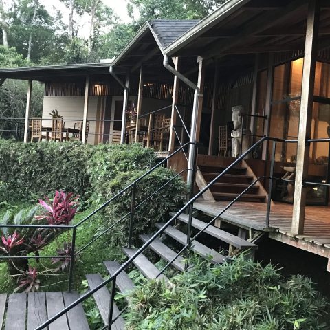 ECU_MisahualliHamadryadeLodge_HotelOwned (3) ECU_MisahualliHamadryadeLodge_HotelOwned (3)