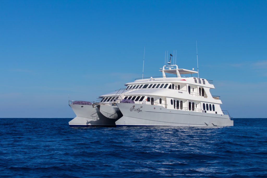 ROYAL GALAPAGOS ©