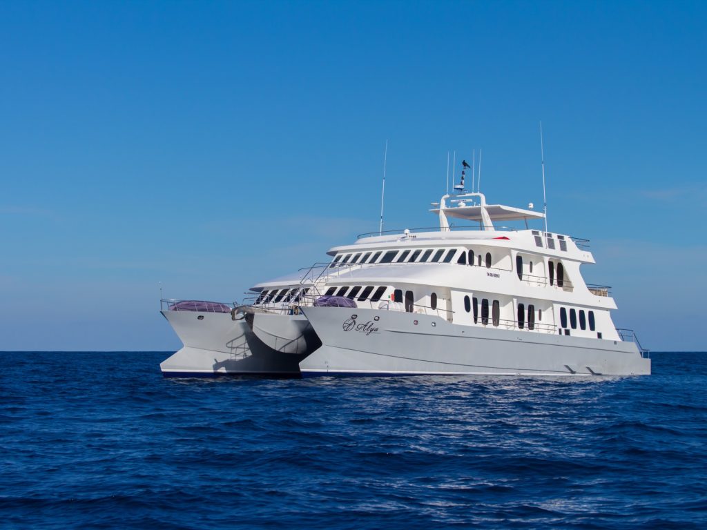 ROYAL GALAPAGOS ©