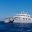 ROYAL GALAPAGOS ©