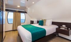 ROYAL GALAPAGOS ©