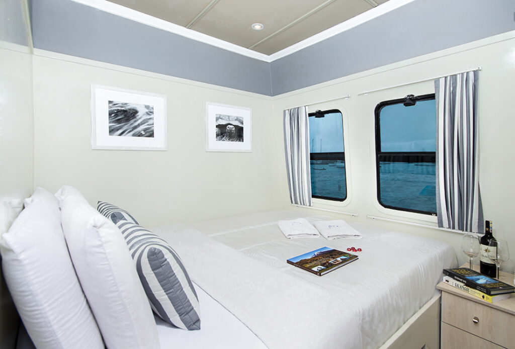 Cabin with double bed and ocean view