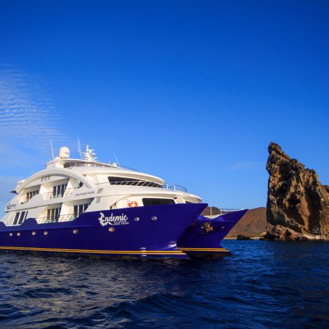 Endemic Galapagos Cruise