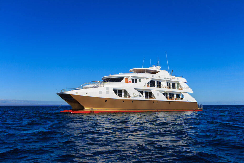 MC Elite Boat