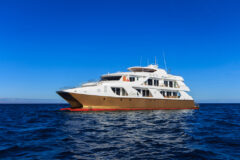MC Elite Boat
