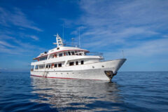 Passion Ship