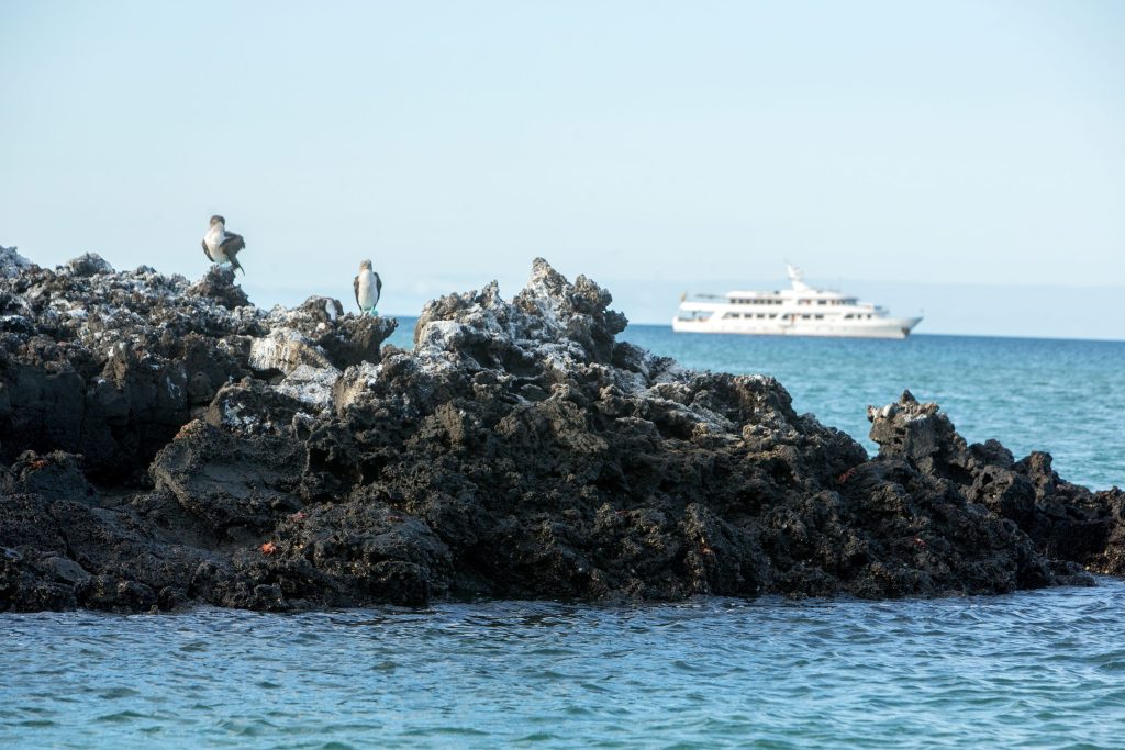 Passion ship in the ocean