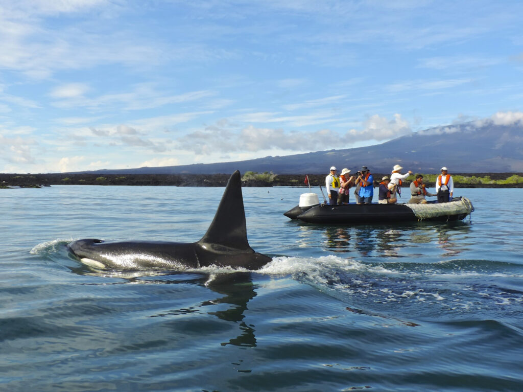 Santa Cruz II excursion