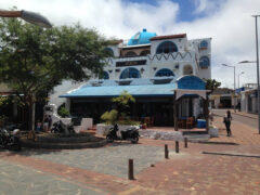 Casa Blanca