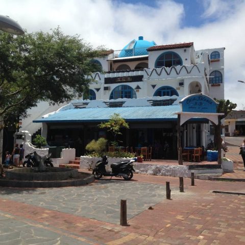 GPS_Galapagos_CasaBlanca_Tropic_freewithcredit (1) Casa Blanca