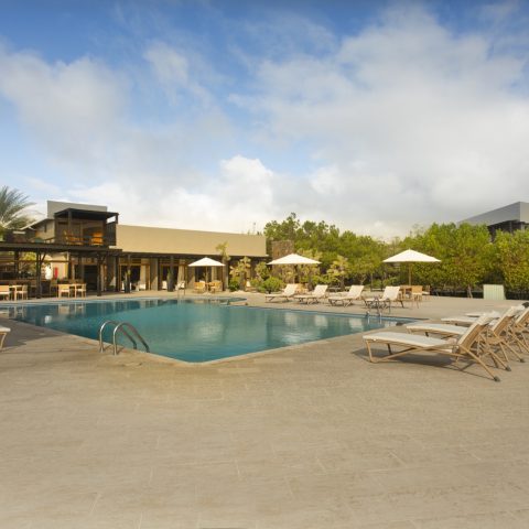 ECU_GalapagosIslands_FinchBay (4)