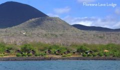 Floreana Lava Lodge