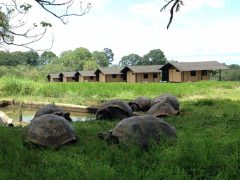 ECU_GalapagosIslands_GalapagosMagicCamp (4)