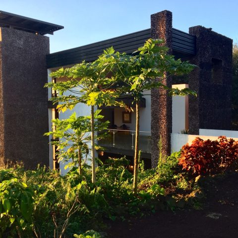 ECU_GalapagosIslands_ScalesiaLodge (1)
