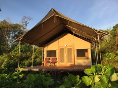 scalesia lodge