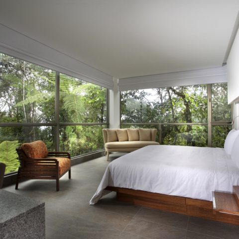 ECU_MindoCloudForest_MashpiLodge.(3)jpg ECU_MindoCloudForest_MashpiLodge.(3)jpg
