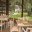 ECU_OtavaloNorthernHighlands_HaciendaPiman.(2)JPG