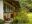 ECU_Otavalo_LasPalmerasInn_Tropic_supplier (2)