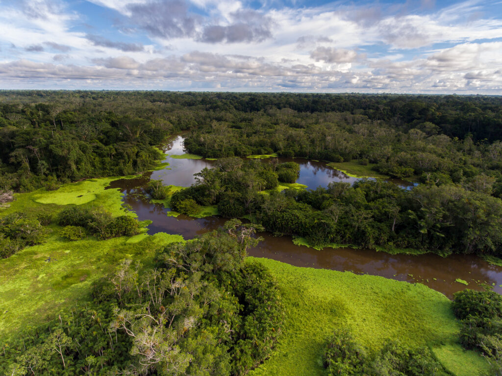 Manatee Amazon Explorer