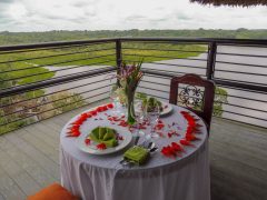 ECU_TheEcuadorianAmazon_NapoWildlifeCentre (1)