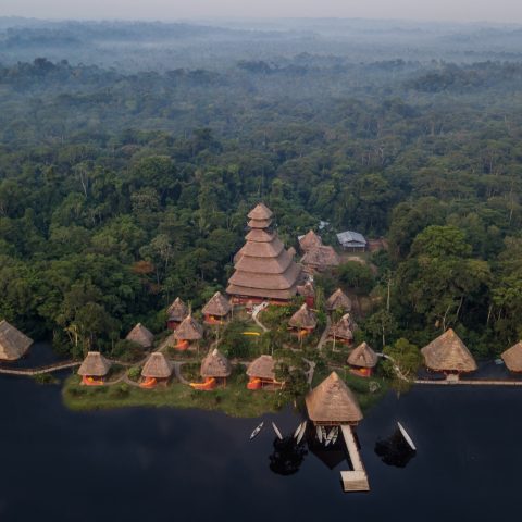 ECU_TheEcuadorianAmazon_NapoWildlifeCentre (2) ECU_TheEcuadorianAmazon_NapoWildlifeCentre (2)