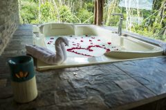 ECU_TheEcuadorianAmazon_NapoWildlifeCentre (3)