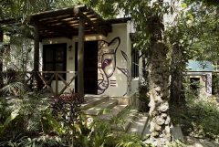 Jungle Lodge