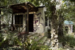 Jungle Lodge