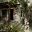 Jungle Lodge