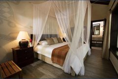 Jungle Lodge