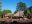 GUY_RupununiKaranambu_WildernessExplora_supplier (1)
