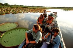 GUY_RupununiKaranambu_WildernessExplora_supplier (3)