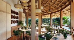 MEX_CasaChable_Restaurant