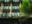 MEX_MexicoCity_GranHotel (2)