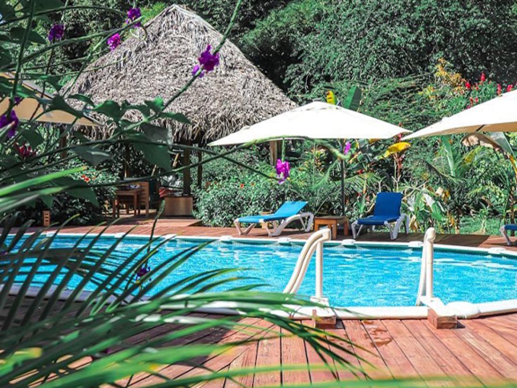 The Hummingbird swimming pool