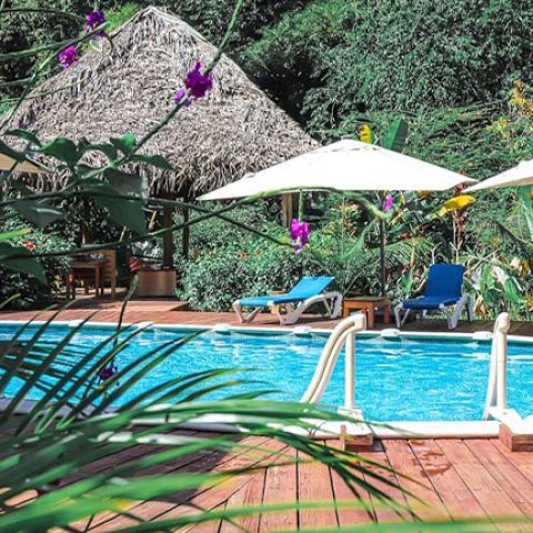 The Hummingbird swimming pool